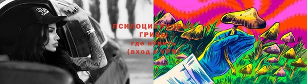 ГАЛЛЮЦИНОГЕННЫЕ ГРИБЫ Заводоуковск