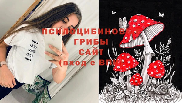 Альфа ПВП Заволжье