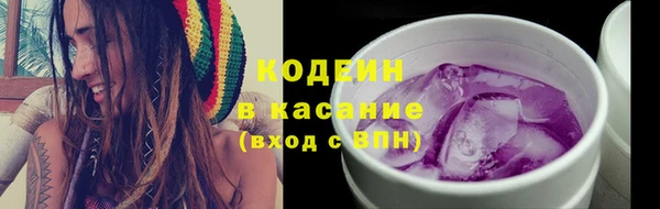 твердый Ельня