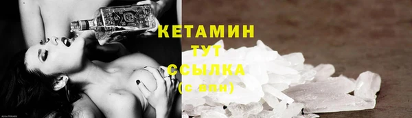 твердый Ельня