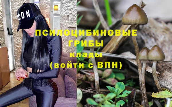 ГАЛЛЮЦИНОГЕННЫЕ ГРИБЫ Заводоуковск