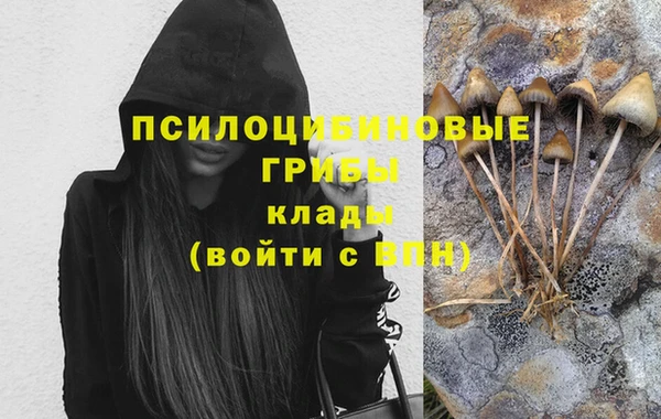 2c-b Елабуга