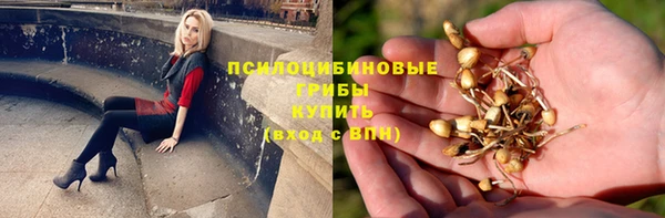 мдма Елизово